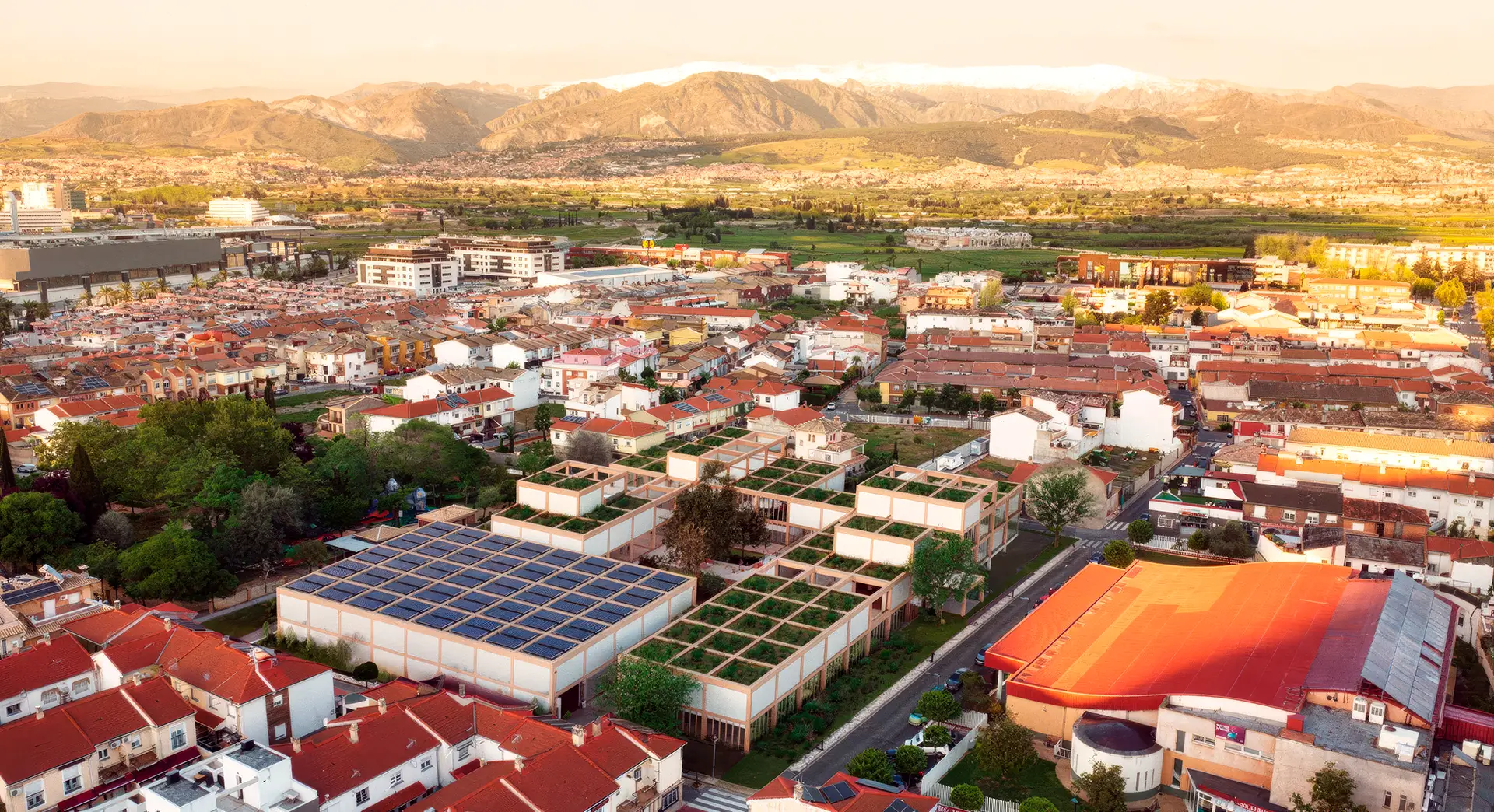 Aerea
